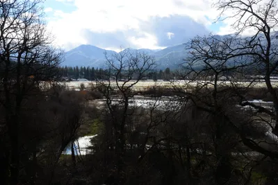 DSC_0802 (Large).JPG